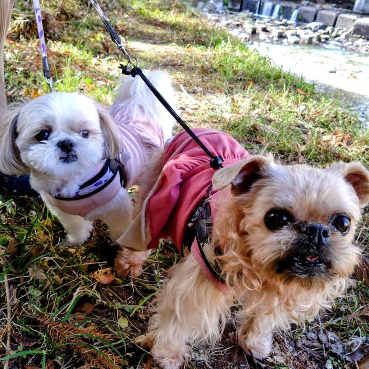 C7fe37ef 8320 4221 97c7 5b5fbfcf8b41 1700386057744