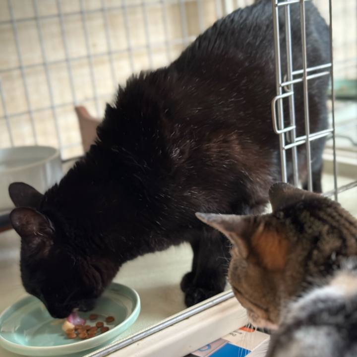 C7fea0f6 21e6 4cf5 ace1 c273b6e3bb07 1680918574191