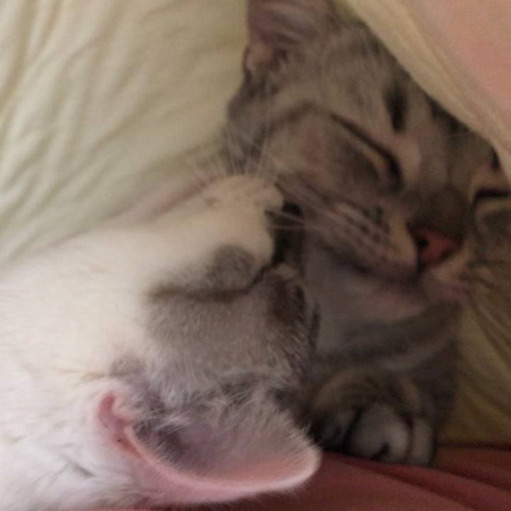 C7feccf5 affb 40b6 aa6e f602bf8d25ff 1541290093833