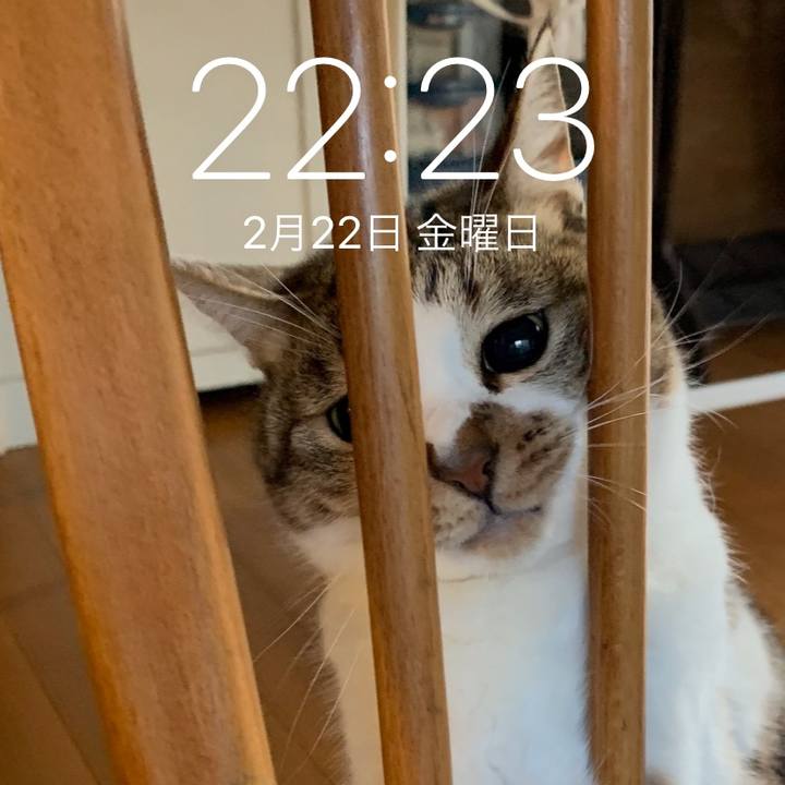 C7feebc4 a120 4d9f 9885 1e2be28cacfa 1550903991710