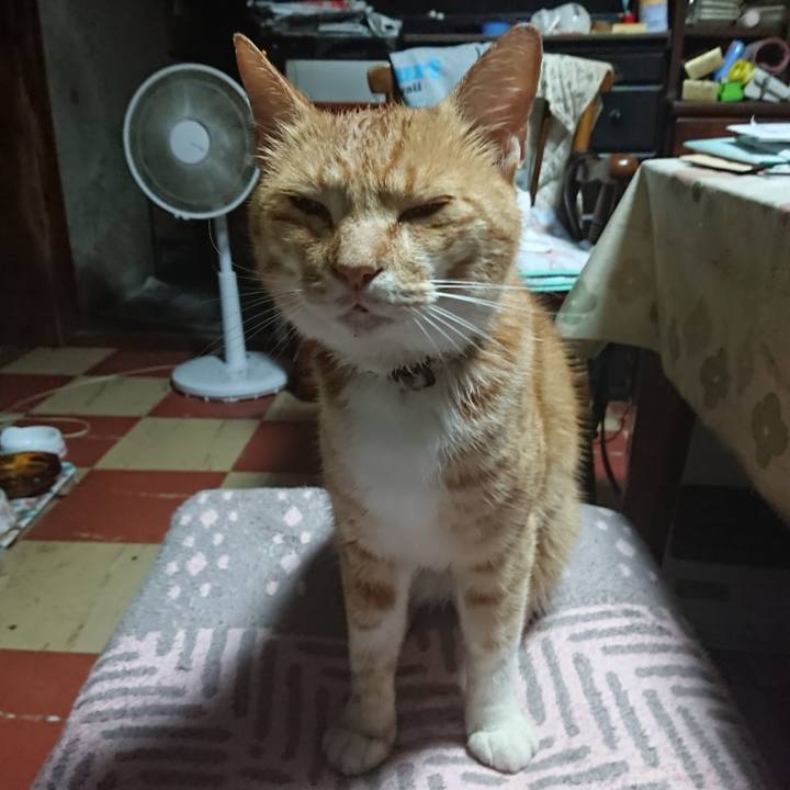 C7ff06ad f2a3 4462 8a00 7e02199d4dcc 1594151732924