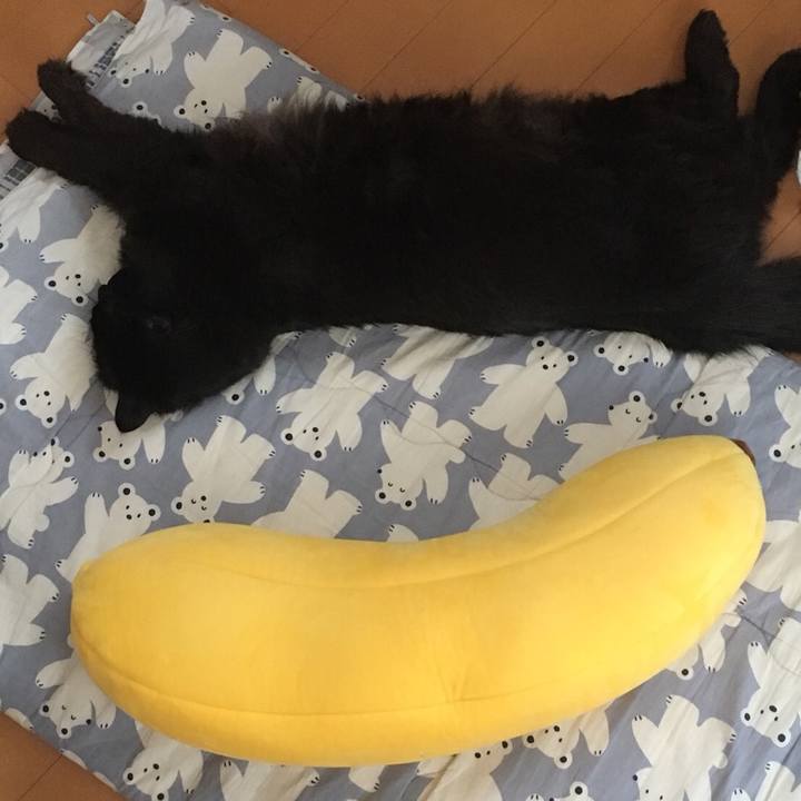 C7ff2f2b fa6a 4e50 90f8 2d1c79498653 1520558864368