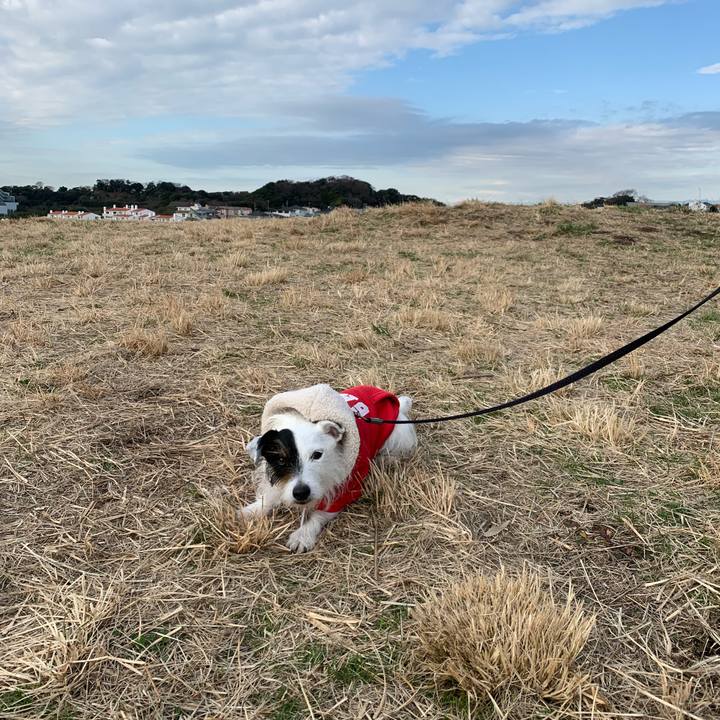 C7ff30b2 4e3e 42b5 b1b4 d9e4998158a0 1674088266657