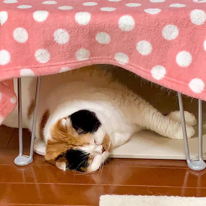 C7ff7023 0e9a 476c b9aa 72ab7bda5056 1566089717336