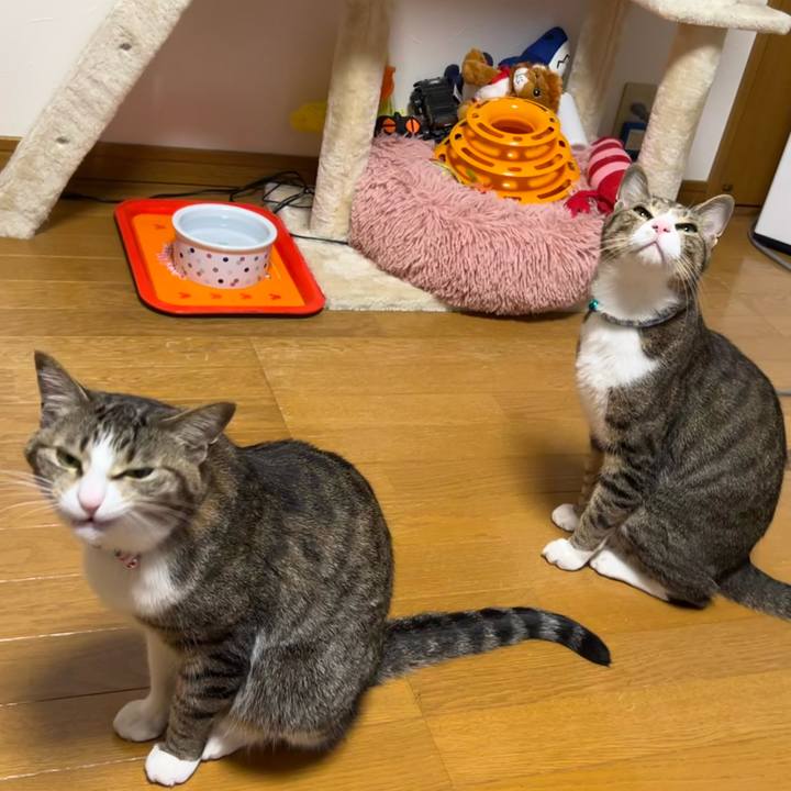 C7ff738b 7943 4420 8216 829abfc8092c 1725366269355