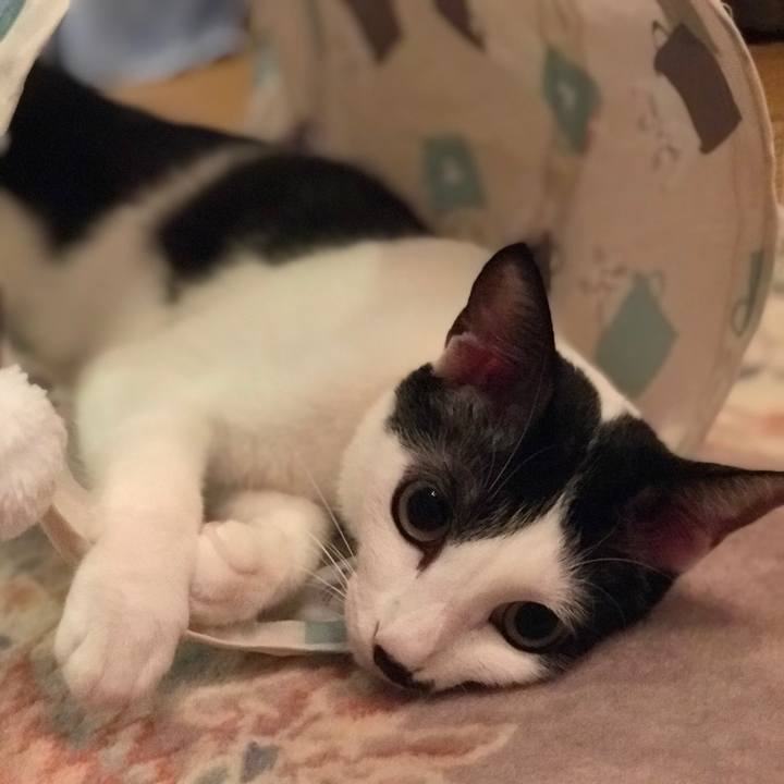 C7ffb566 3800 4f36 b283 1b0bde374dd7 1557907023057