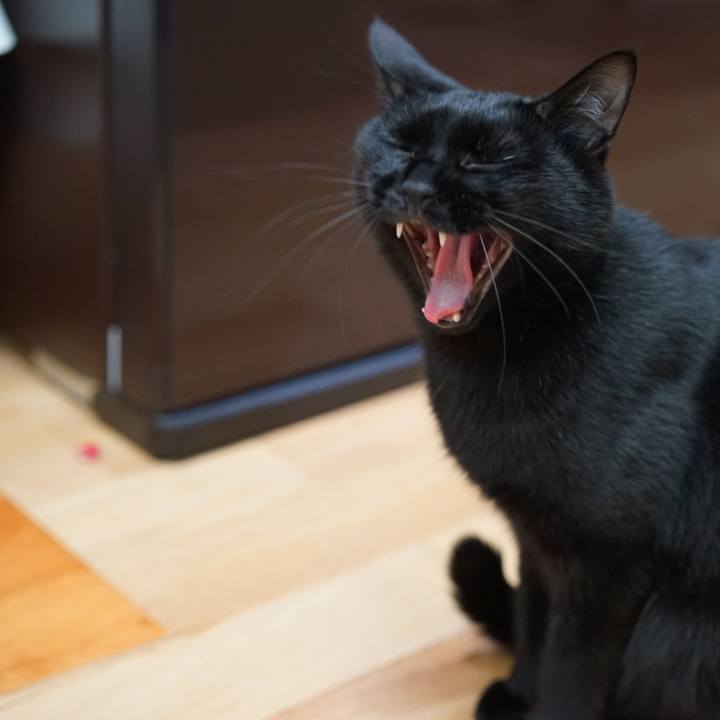 C8000030 afab 4357 b376 87c5308cbce0 1557272862698