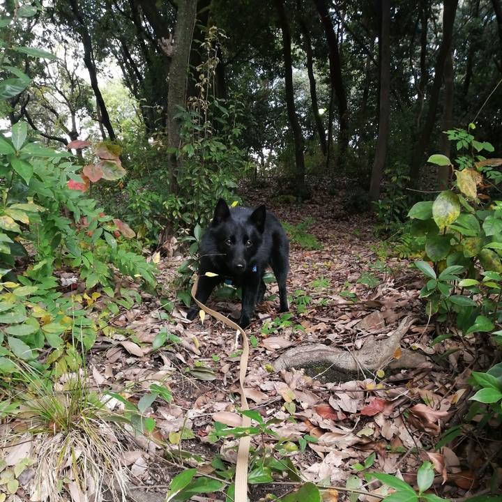 C8005486 4b27 47ca 87f2 8131c70159bc 1636849249216