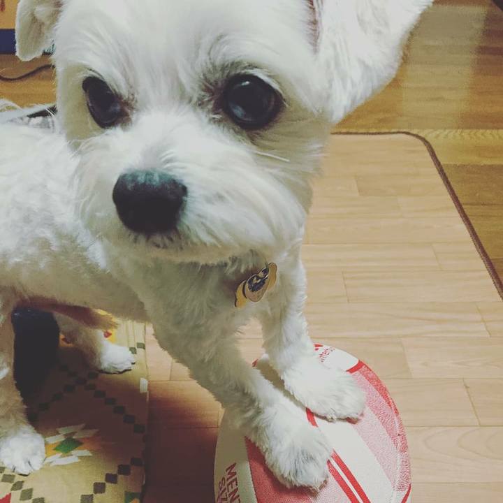 C8007497 8cc0 4340 9c56 cddaf16b81f3 1551611388802