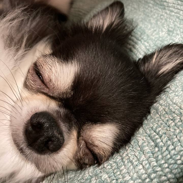 C80084f6 2eca 425b 8dde eadb624f6692 1662298087362