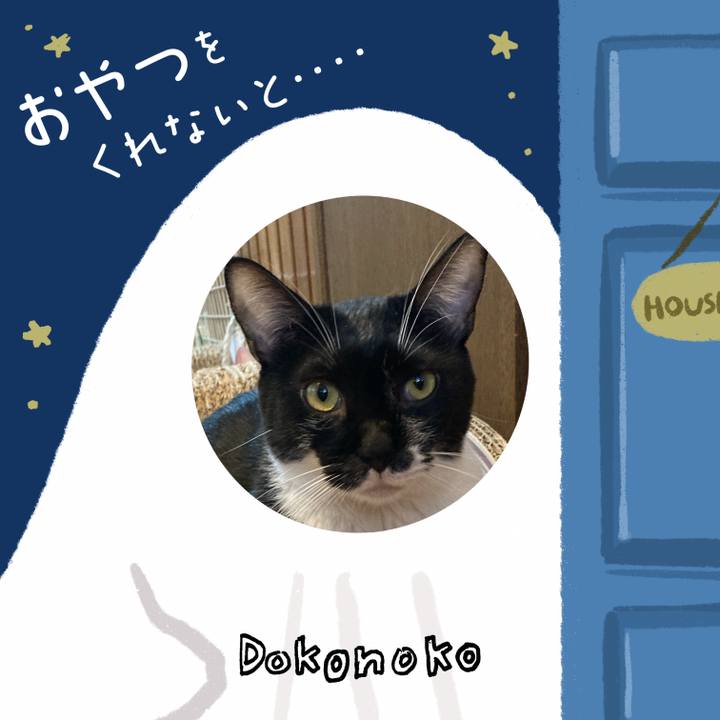 C800887e 0e94 4cf3 80e7 b4f0194888d3 1729343588519