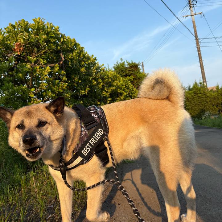 C8009d8e 3792 4871 9039 e8654d667a28 1751460025515