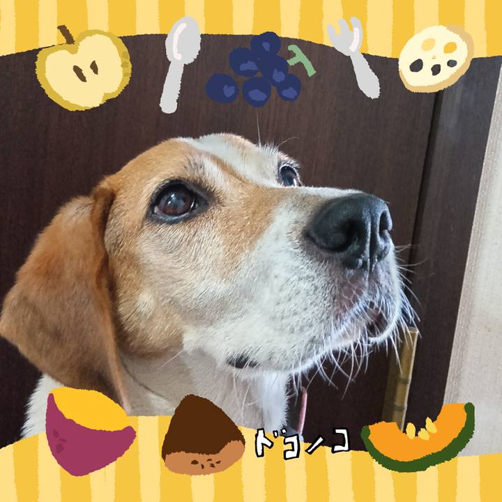 C800a356 6c90 43e2 bdb6 2459a7974ba1 1726908385238