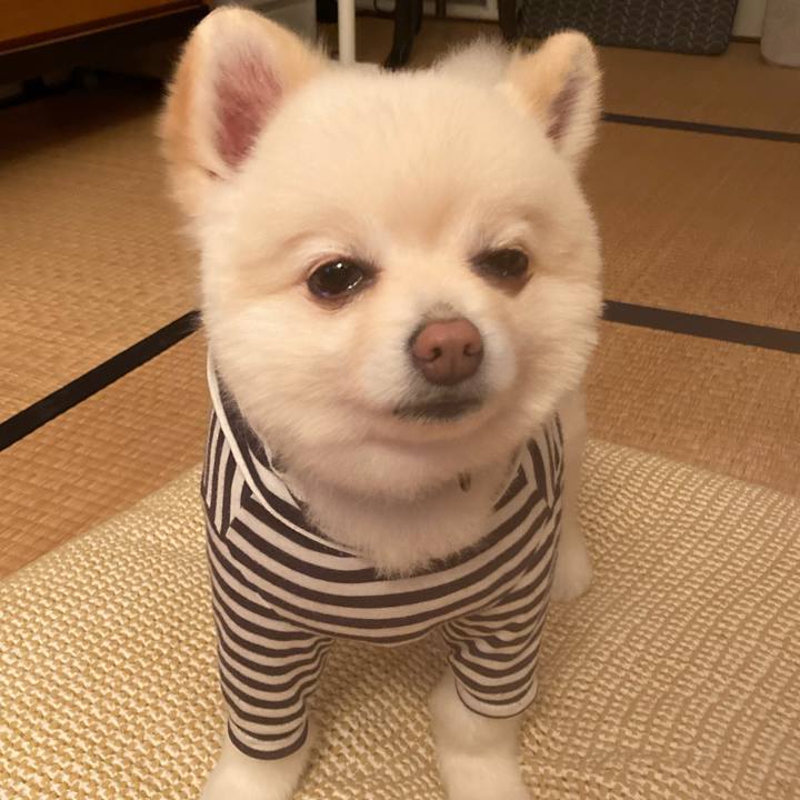 C800b7bc 1470 4621 b578 617e26876309 1615726671815