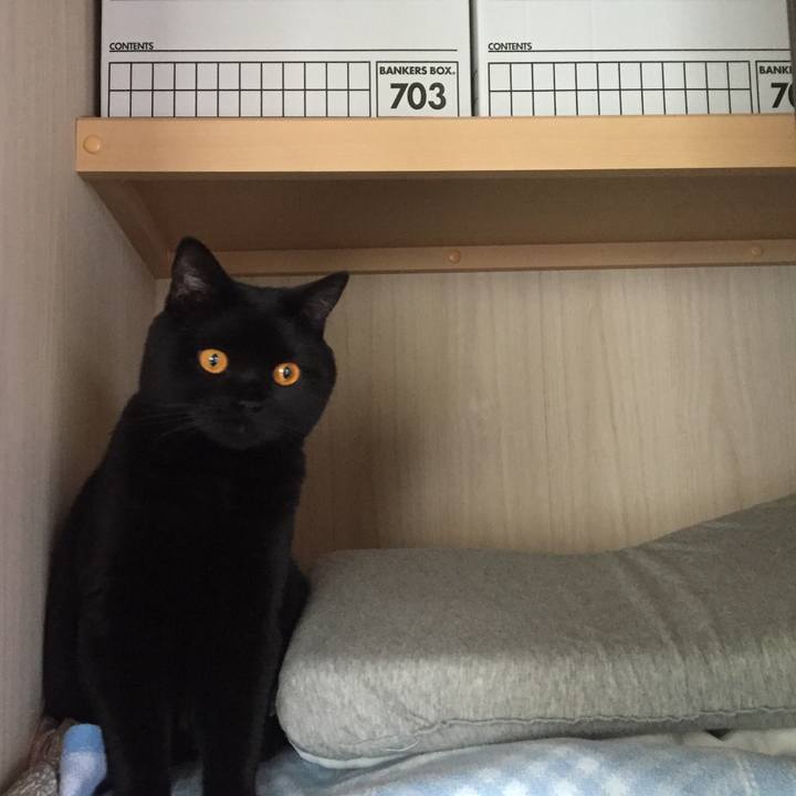 C800ecaf cf11 43b4 a8c3 5abd11bfe5f2 1524745936118