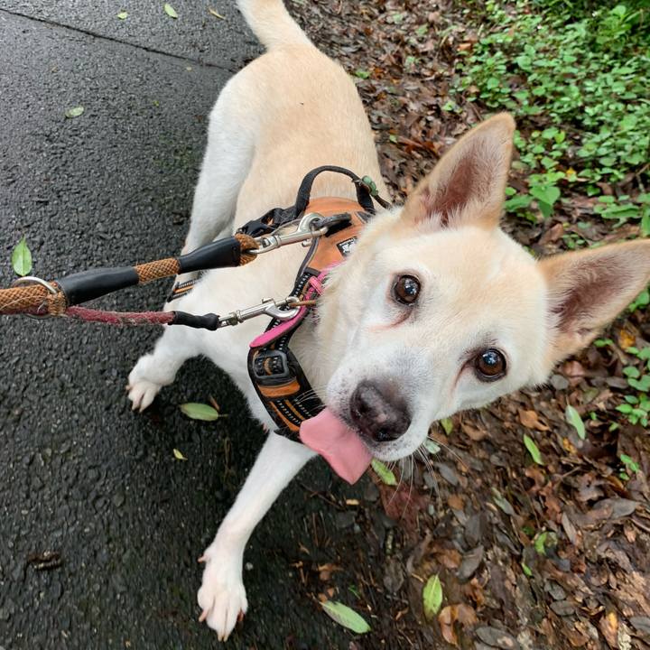 C801002c d162 4fb5 82cd 8202b257f352 1703824225698