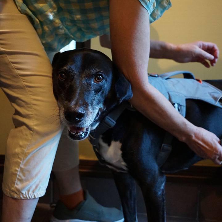 C8010a6a 45af 402b 9340 7f816137f2eb 1757116358448