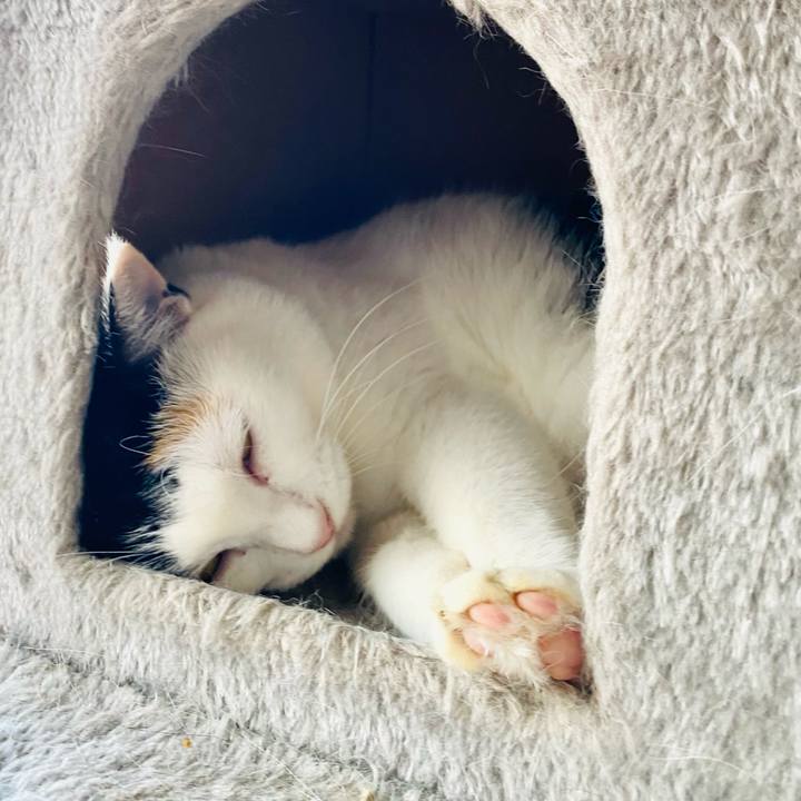 C8014563 4af8 4e3d ab23 1ab94a502a11 1693780202608