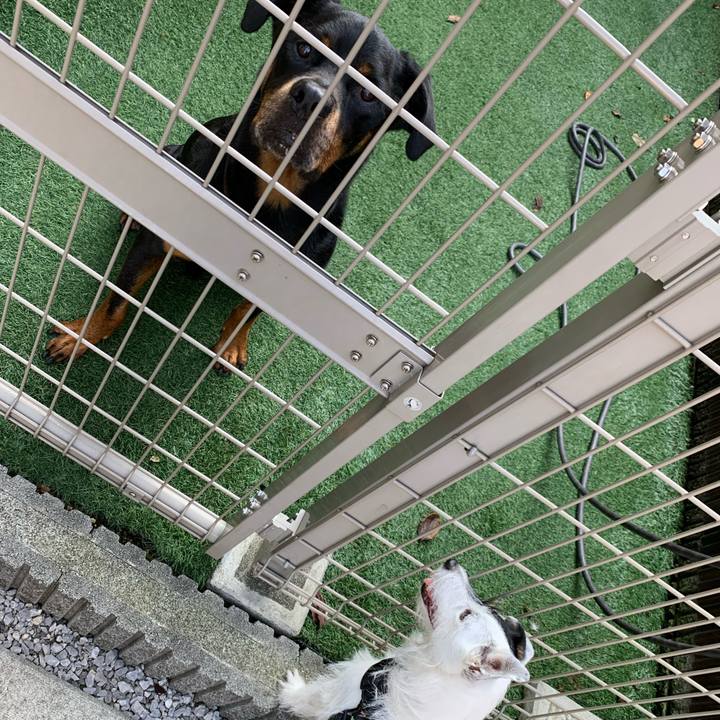 C8019c2f 8ca8 41c1 a278 0b88903baa5f 1725664938109