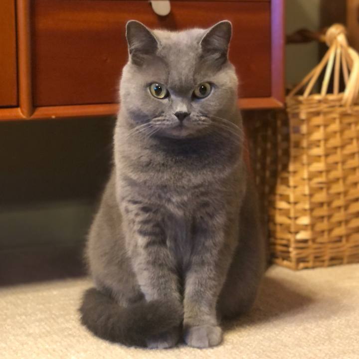 C801a21d f04c 4ae4 a9d9 5789a94aac6e 1604495043061