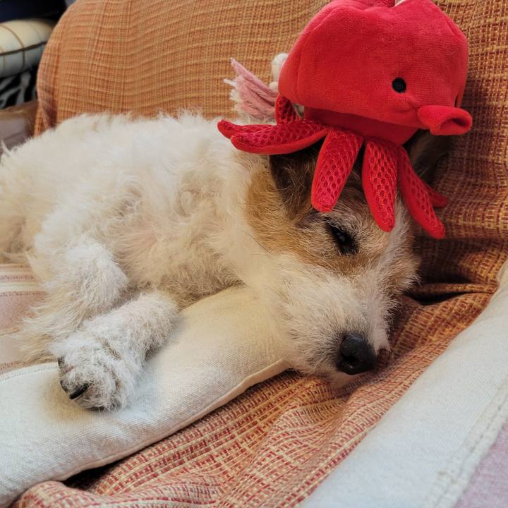 C801e71e d3f6 4af9 ab90 1c7bc10511d2 1754005940028