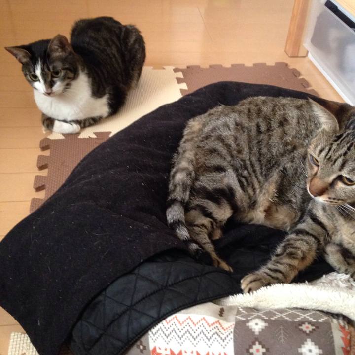 C801ec4a 2eb9 4495 a7e7 79be0fc00285 1514336015162