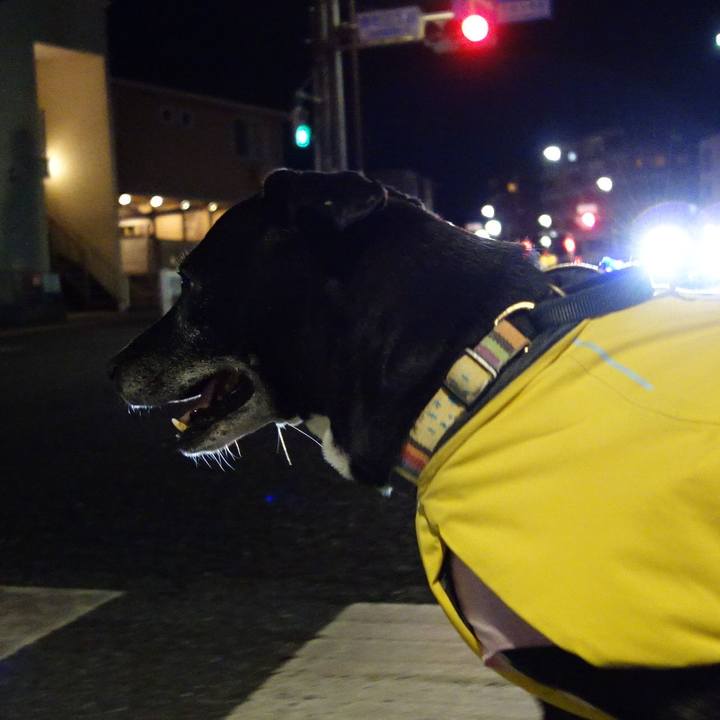 C8020884 2e54 4568 b70e b5c3f53d8fb1 1739018770604