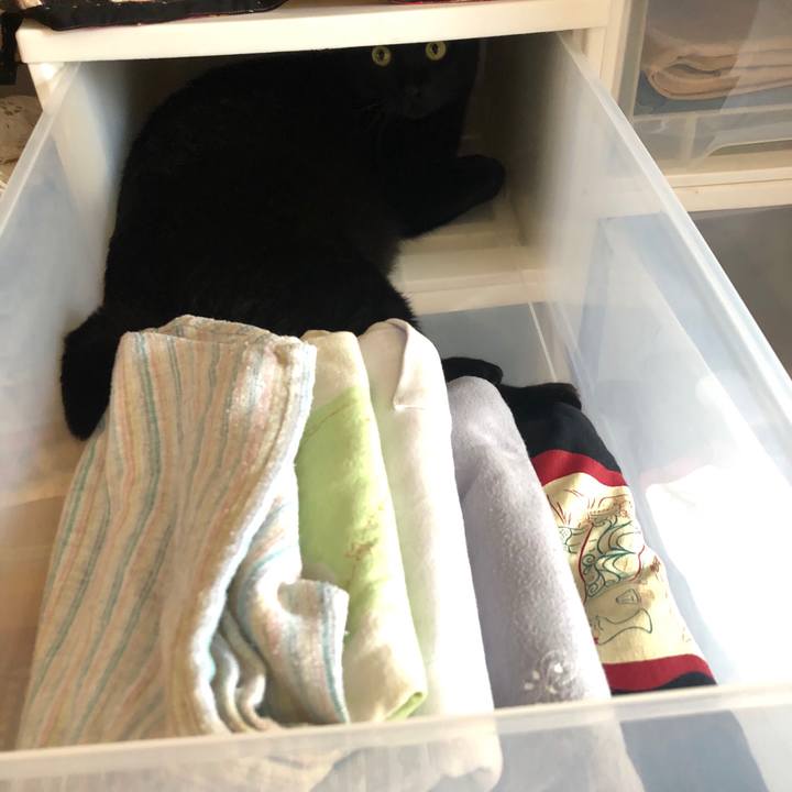 C80233be 72ea 4348 a6f3 5564787047b9 1557542552091