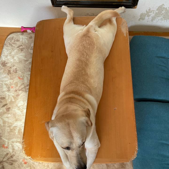 C802743a 20b9 4f51 94a0 ad7a74f94ae5 1635070185315