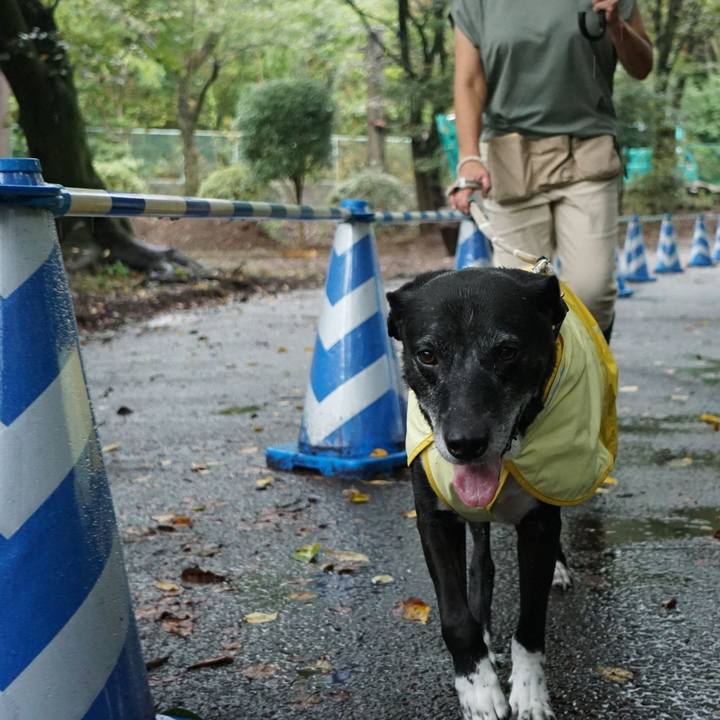 C802a9fa 6bc5 4117 8bd0 222db56da757 1757031186446