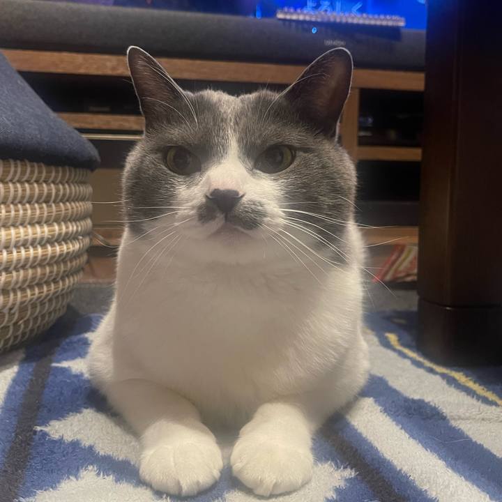 C8030179 646b 4b5e 921b 57bed0b66e2c 1680535705312