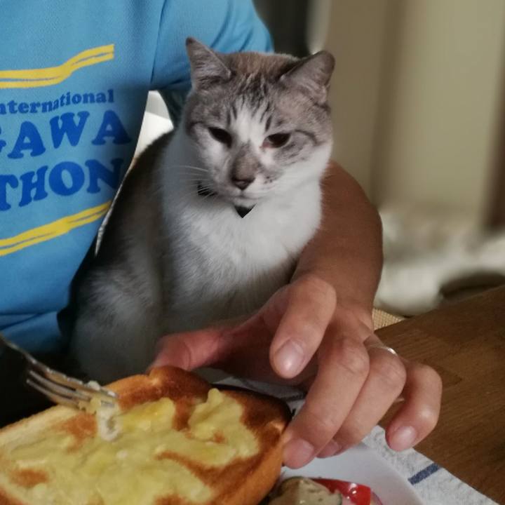 C8030dfc 0539 4e17 85b1 2cf1af875d1a 1527316153839