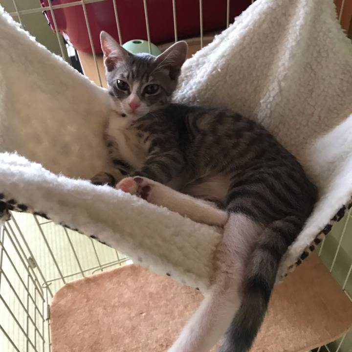 C8032cd7 2841 4335 84c7 957dec903500 1564223637852