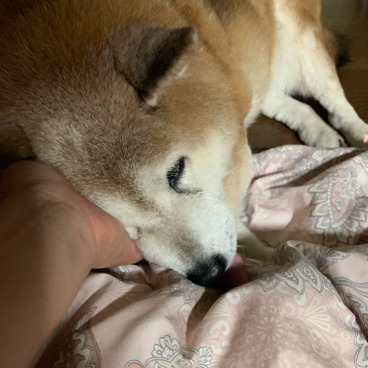 C80332c6 042b 487b 9ecd a81f071f1afa 1631762102497