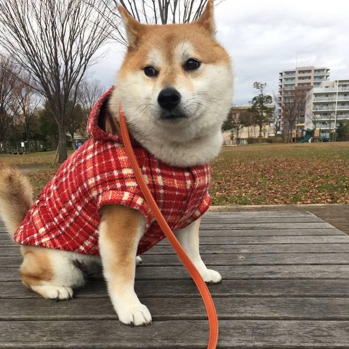 C80335af 6953 4b61 96fd d01071b20a31 1576216231672