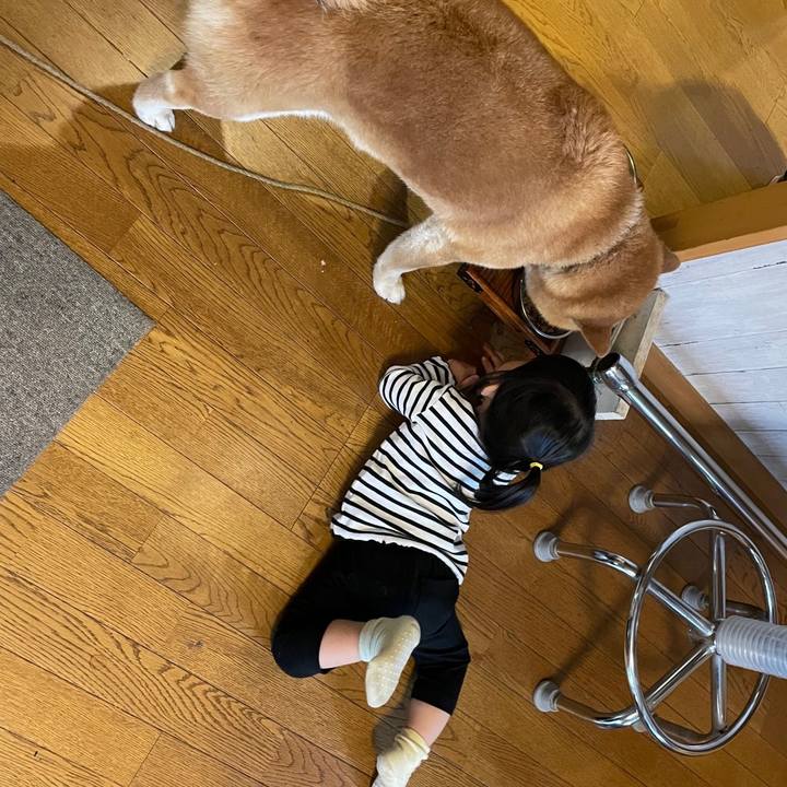 C80336a1 9fbe 4ccd abe1 ef744b0474f7 1651167884217