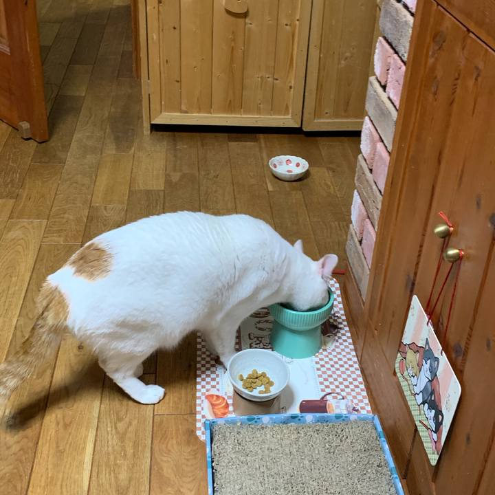 C8037ee7 9c88 4b44 b41f 15361bc3f616 1605018254556