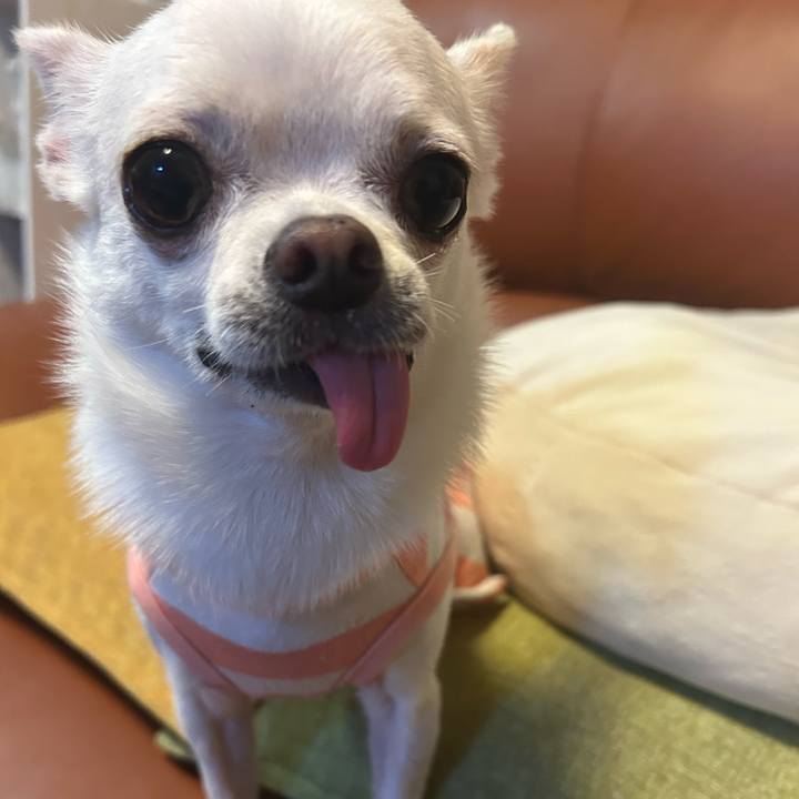 C8038a8d d3cd 4493 a405 dc22ad220569 1757852149528