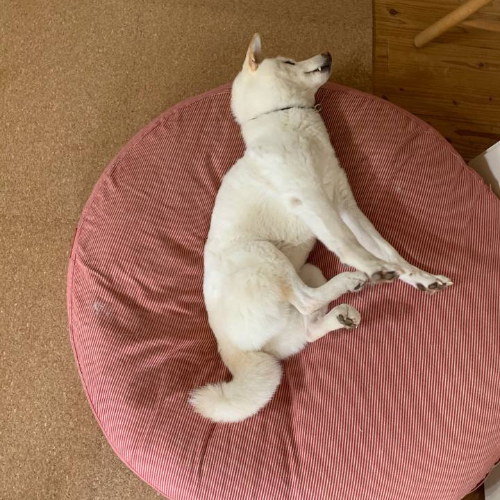 C8038e5c cfa9 484a a360 a5c9013f24e9 1604366068035