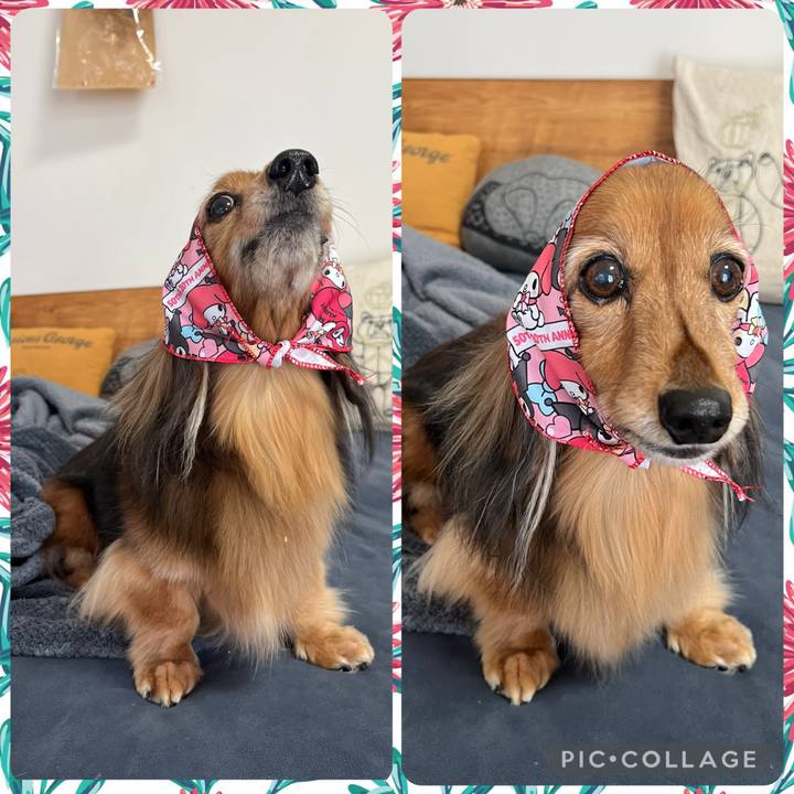 C803a96f d0ff 4bda b7c6 505b07d0a91c 1769824377371