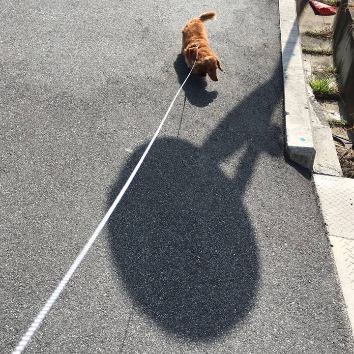 C803d152 c14b 47ce 87c0 92a04d42facf 1520642267340