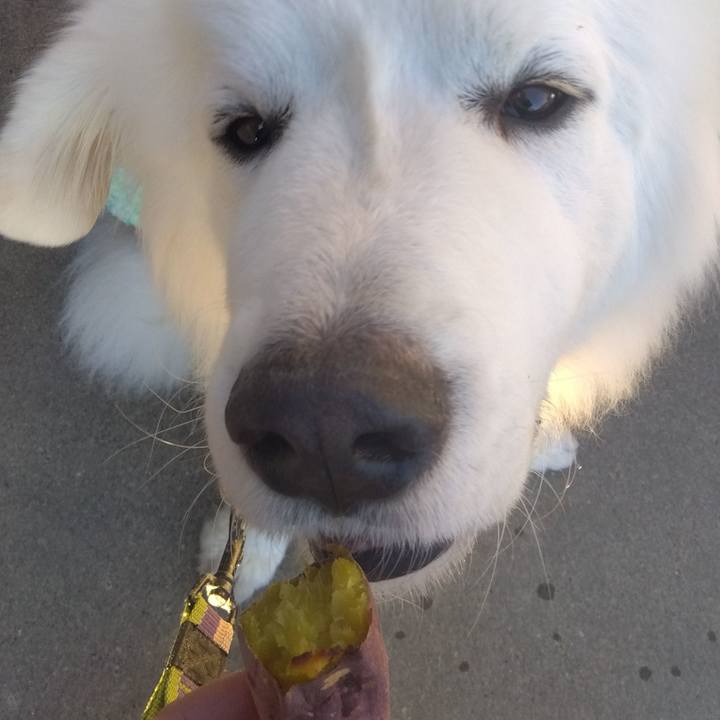 C8046e40 bf1f 4ed1 b935 39e9be402ca4 1672128746581