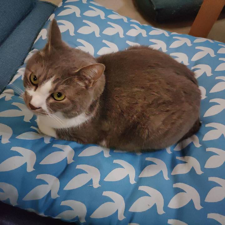 C804a8bf 11f6 4d44 aaee de0ae89a89d8 1713590309889