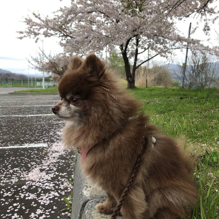 C804c1d2 2022 470a 9971 e257603730d8 1620198145620