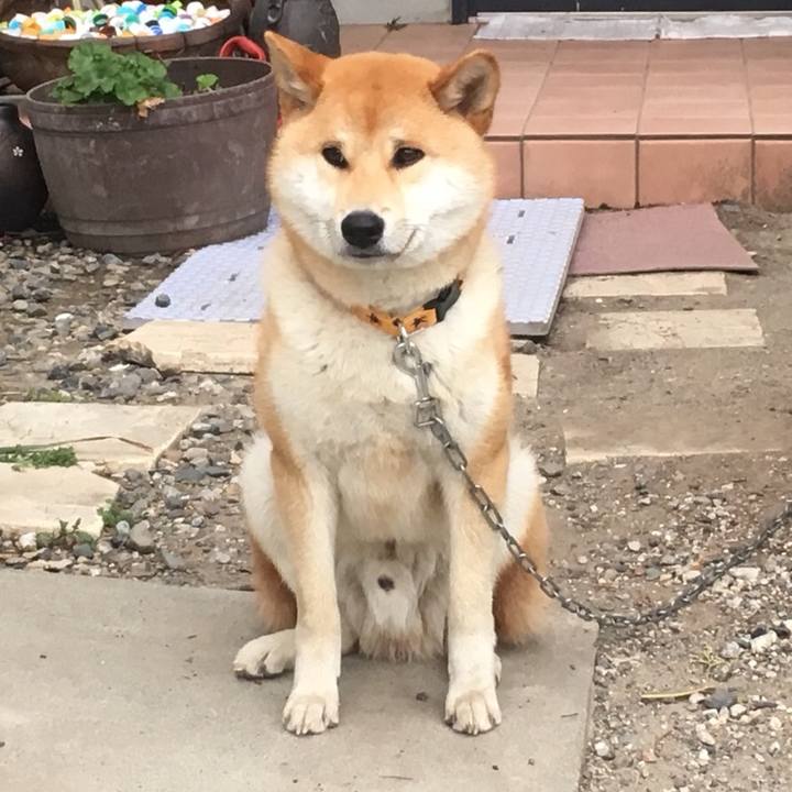 C804c2ae a6cb 45c2 ab3e 62514547e154 1526722657797