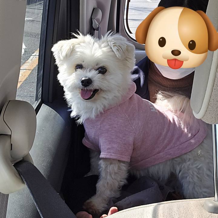 C804c93c f085 4d8c 9a4a c82986e41028 1772889942124