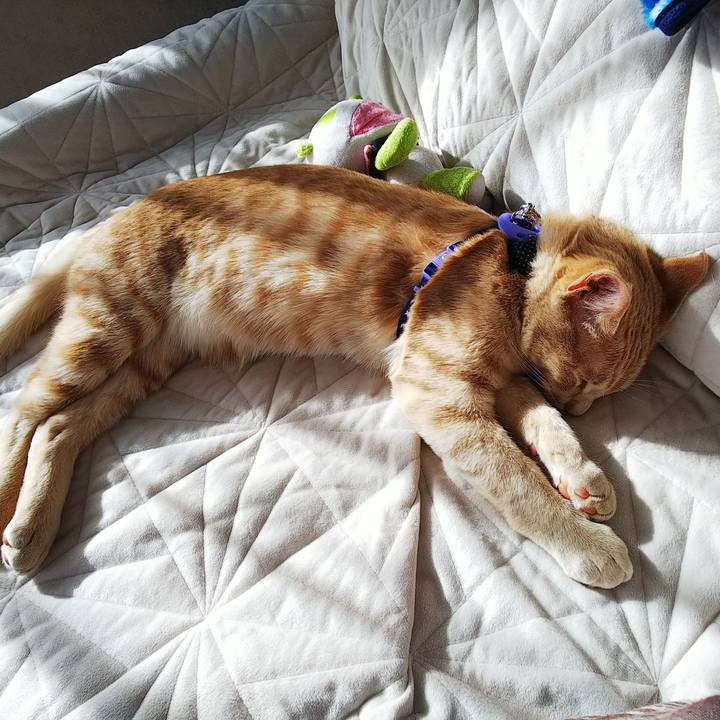 C8051872 7f66 4889 8d07 6b10b603c3e1 1549770842463