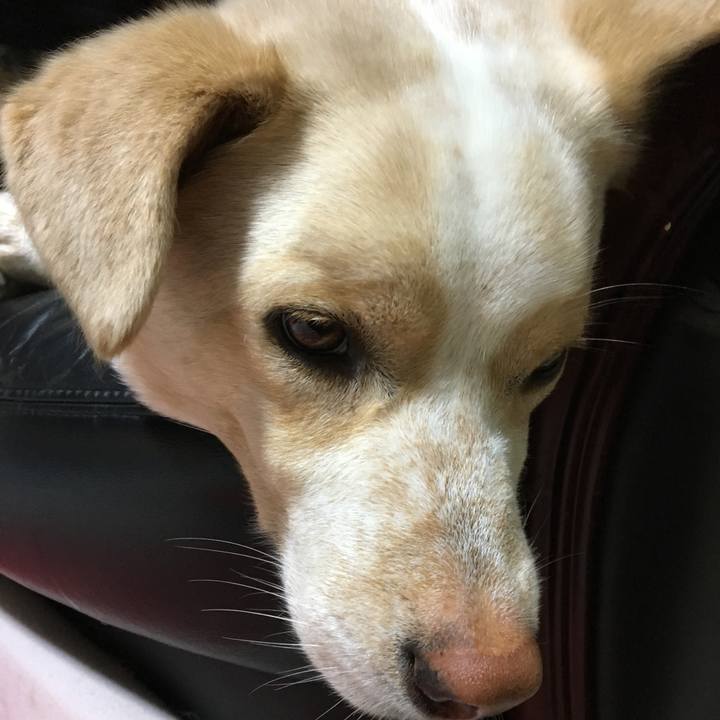 C805646e 0ba7 4af3 b36f 9e86d6b6a6dd 1524578411361