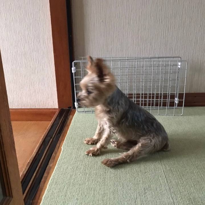 C8056933 a588 4335 92ec 2fb82751c748 1600679611192