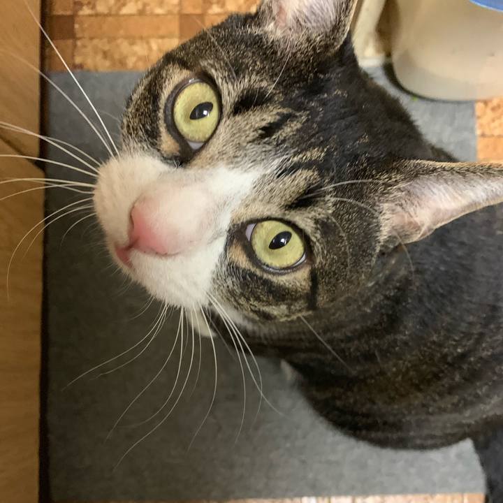 C805854f d655 46eb 8e6f 516c1c8a58a9 1558276155292